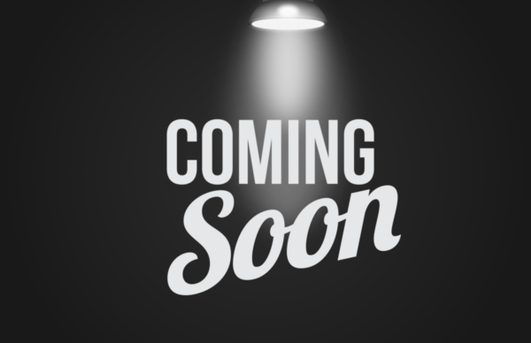 VOLKSWAGEN TIGUAN ALL SPACE 2.0 TDI SEL